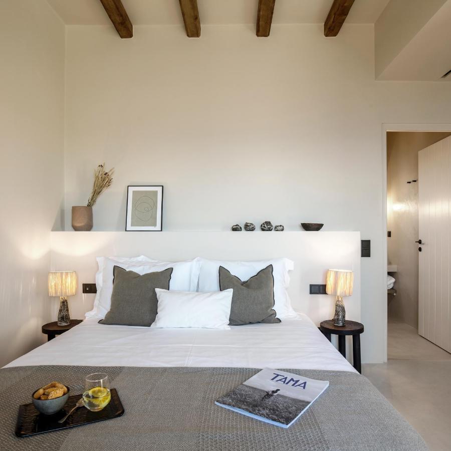 The Detailor - Tinos House Villa Agios Romanos Exterior photo