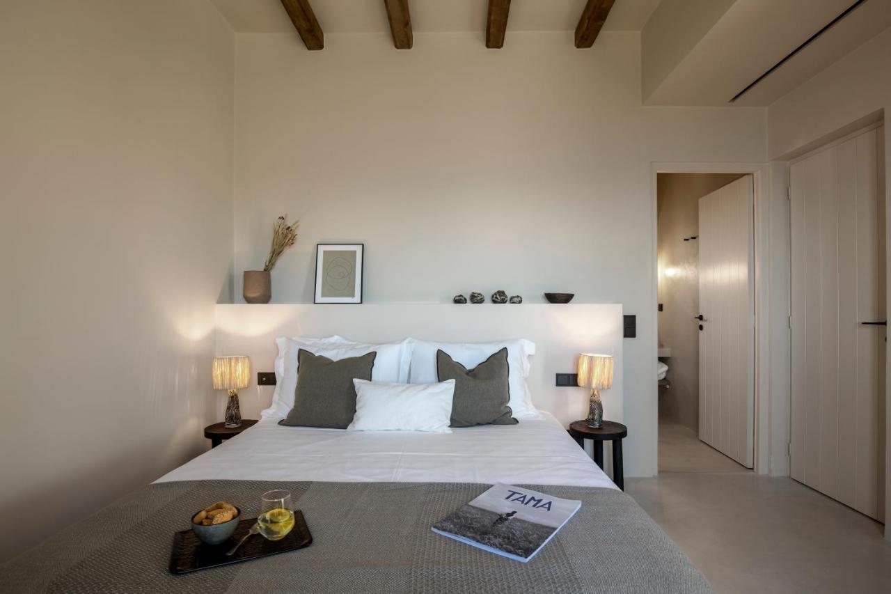 The Detailor - Tinos House Villa Agios Romanos Exterior photo